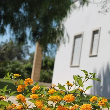 Paloma B&B