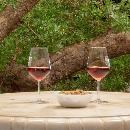 Frühstückspension Paloma Porto Cesareo