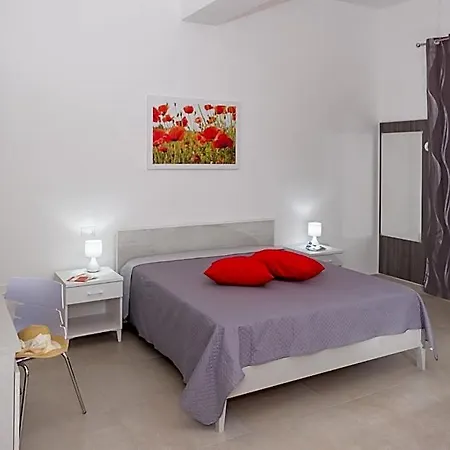 Paloma 4*