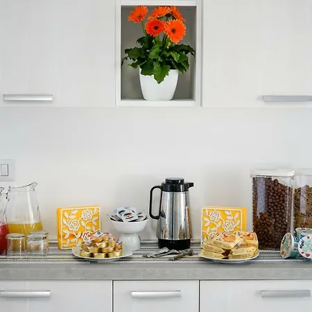 Paloma Porto Cesareo