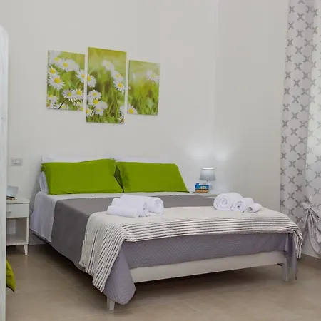 Nocleg ze śniadaniem Paloma 4*