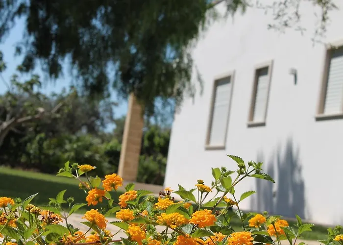 Paloma Bed & Breakfast